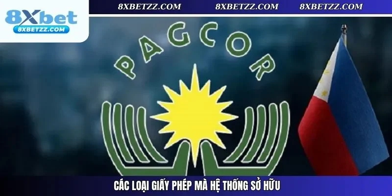 Các loại giấy phép mà hệ thống sở hữu